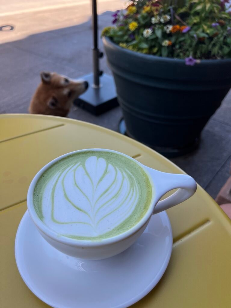 A matcha latte outside of Hello Darling