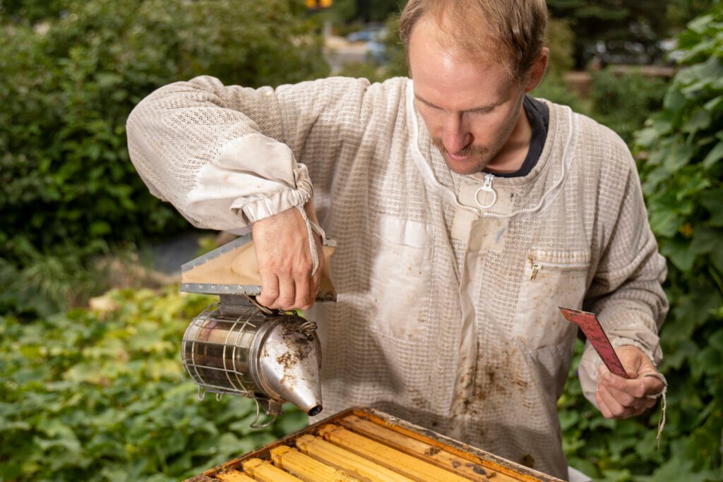 The beekeeper looks over his hives at St. Julien