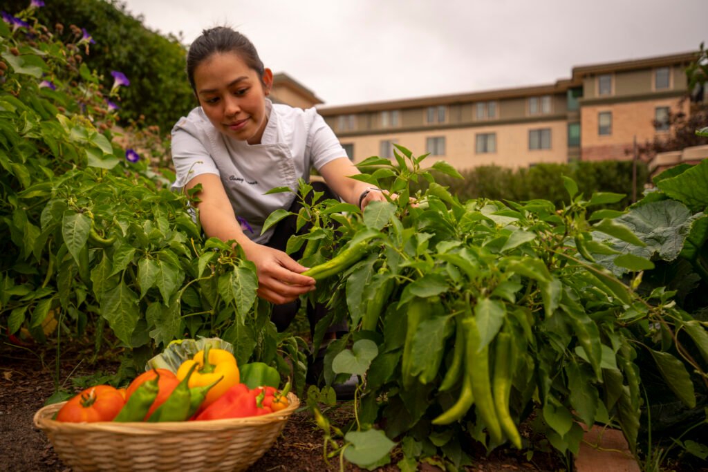 A woman picks fresh produce at the St Julien Garden