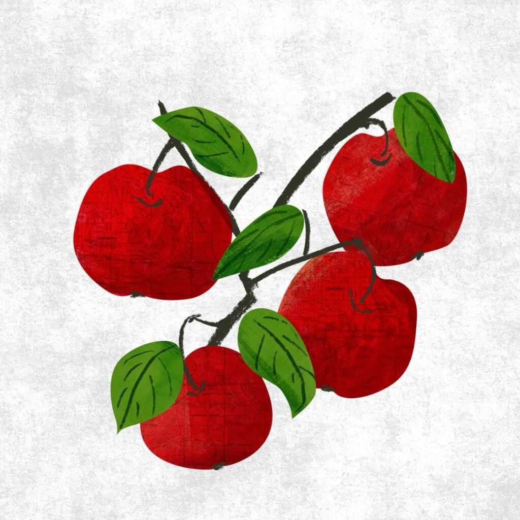 ILLUSTRATION BY ANITA FRAGER