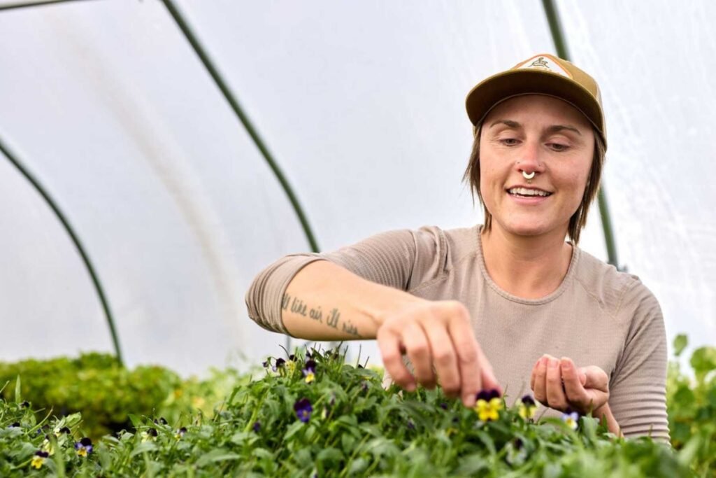 Garnish Manager Attily Spalvins harvesting violas in the geothermal greenhouse.
Opposite page: A closer look at the delicately picked violas.